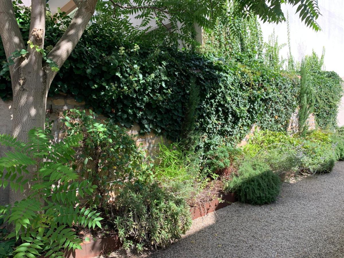 Cocoon Dans Maison Avec Et Jardin En Centre Homestay Dijon
